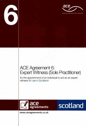 Expert witness (sole practitioner) (For use in Scotland)