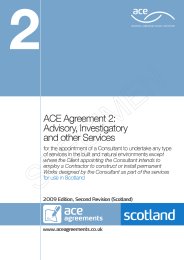 Advisory, investigatory and other services (For use in Scotland) (2009 edition, second revision (Scotland))