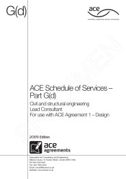 Schedule of services to be undertaken by a lead consultant. Civil and structural engineering (Includes amendment sheet dated: May 2015) (Withdrawn)