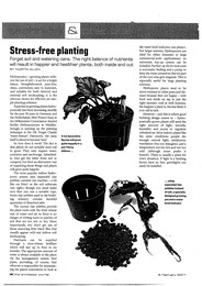 Stress-free planting. AJ 08.02.2001