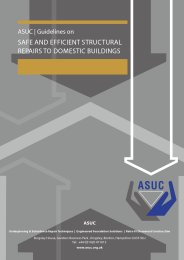 Guidelines on safe and efficient structural repairs to domestic buildings