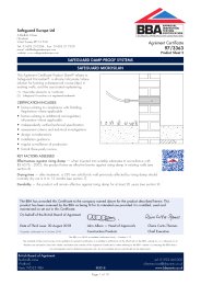 Safeguard Europe Ltd. Safeguard damp-proof systems. Safeguard Microsilan. Product sheet 2