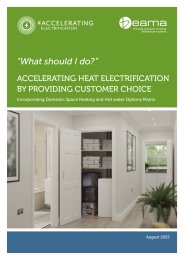  “What should i do?” Accelerating heat electrification by providing customer choice. Incorporating domestic space heating and hot water options matrix