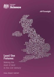 Land use futures - making the most of land in the 21st century: final project report
