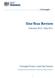 One year review. February 2010 - May 2011. Foresight project: land use futures