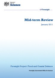 Mid-term review. January 2011. Foresight project: flood and coastal defence