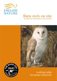 Barn owls on site: a guide for developers and planners