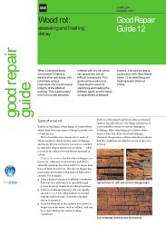 Wood rot: assessing and treating decay