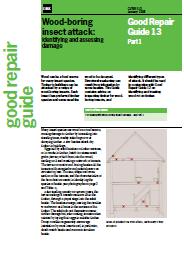 Wood-boring insect attack: identifying and assessing damage