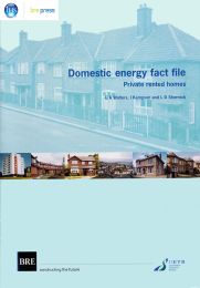 Domestic energy fact file: private rented homes