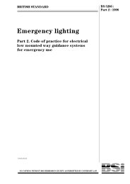 Emergency lighting. Code of practice for electrical low mounted way guidance systems for emergency use (Withdrawn)