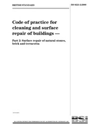 Code of practice for cleaning and surface repair of buildings. Surface repair of natural stones, brick and terracotta