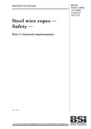Steel wire ropes - safety. General requirements (+A1:2008) (incorporating corrigendum March 2004)