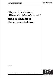 Clay and calcium silicate bricks of special shapes and sizes - Recommendations