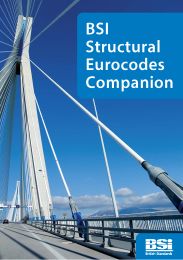 BSI Structural Eurocodes companion