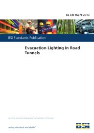 Evacuation lighting in road tunnels