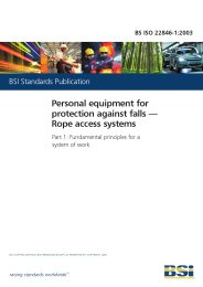 Personal equipment for protection against falls - Rope access systems. Fundamental principles for a system of work