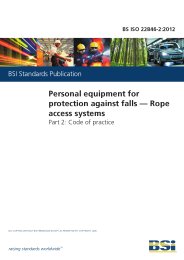 Personal equipment for protection against falls - Rope access systems. Code of practice