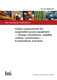 Safety requirements for suspended access equipment - design calculations, stability criteria, construction - examinations and tests