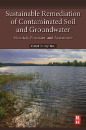 Sustainable remediation of contaminated soil and groundwater - materials, processes and assessment