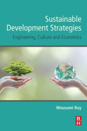 Sustainable development strategies - engineering, culture and economics