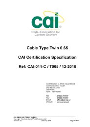 Cable type twin 0.65 CAI certification specification