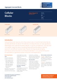 Aggregate concrete blocks: cellular blocks