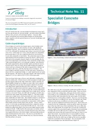 Specialist concrete bridges