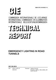 Emergency lighting in road tunnels