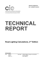 Road lighting calculations