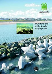 Multi-functional artificial reefs scoping study