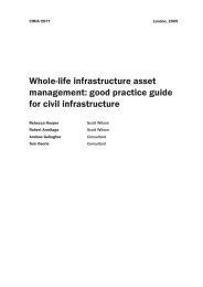 Whole-life infrastructure asset management: good practice guide for civil infrastructure