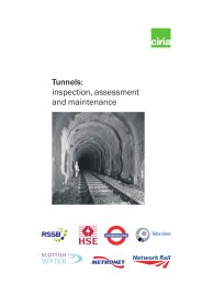 Tunnels: inspection, assessment and maintenance