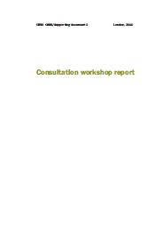 Consultation workshop report