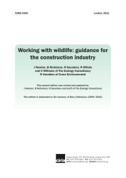Working with wildlife: guidance for the construction industry