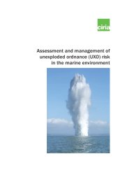 Assessment and management of unexploded ordnance (UXO) risk in the marine environment