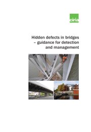 Hidden defects in bridges - guidance for detection and management
