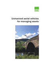 Unmanned aerial vehicles for managing assets