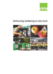 Delivering wellbeing at site level