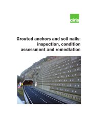 Grouted anchors and soil nails: inspection, condition assessment and remediation