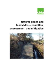 Natural slopes and landslides - condition, assessment, and mitigation