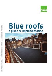 Blue roofs - a guide to implementation