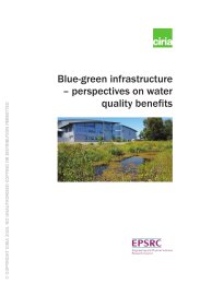 Blue-green infrastructure – perspectives on water quality benefits
