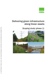 Delivering green infrastructure along linear assets. Scoping study (phase 1)