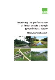 Improving the performance of linear assets through green infrastructure. Main guide (phase 2)