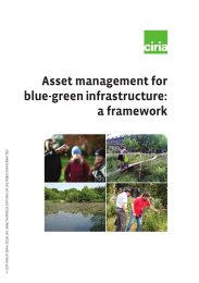 Asset management for blue-green infrastructure: a framework