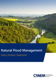 Natural flood management