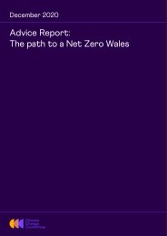 Advice report: the path to a net zero Wales