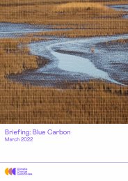 Briefing: blue carbon