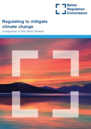 Regulating to mitigate climate change - a response to the Stern review